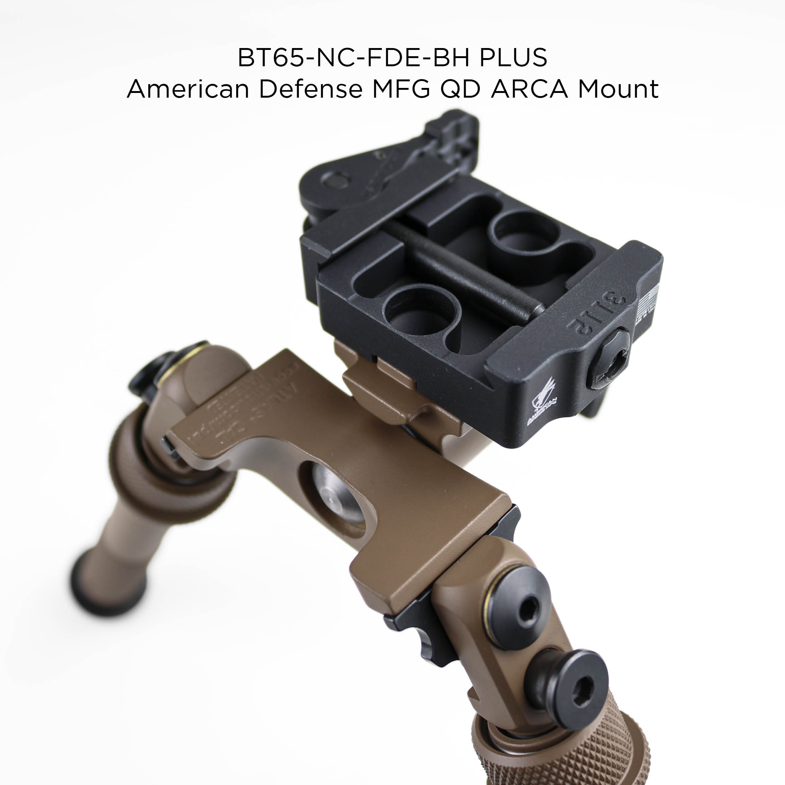 Fde Bh Cal Stock Images7