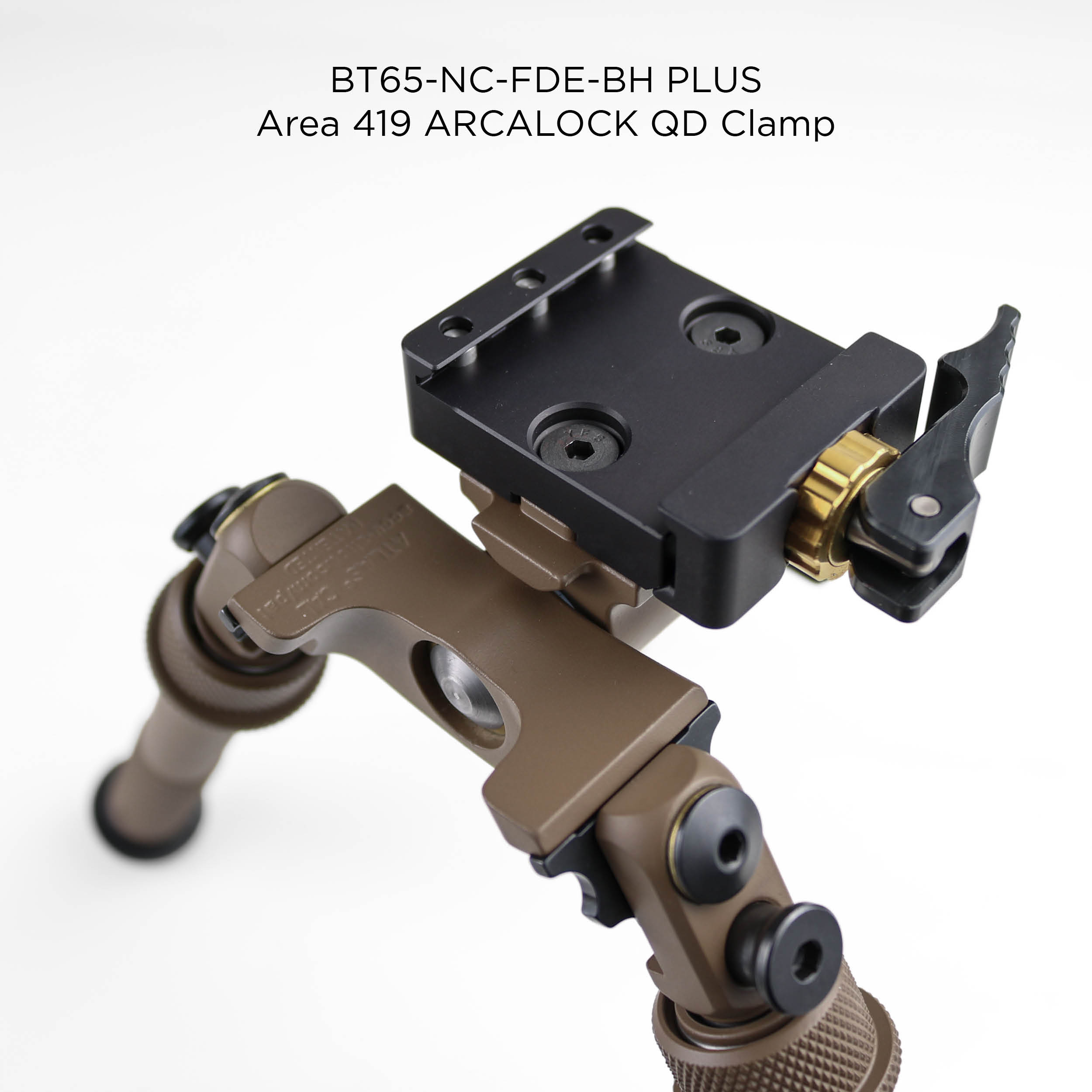 Fde Bh Cal Stock Images9